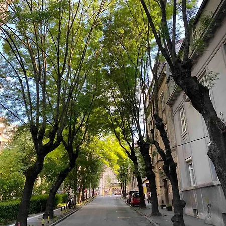 Apartment Hidden Gem Of Center Belgrade